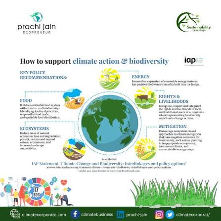 Interdisciplinary Perspectives on Sustainability, Climate Action, Global Challenges, and Resilience